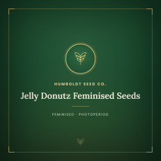 Jelly Donutz Feminised Seeds Jelly Donutz Feminised Seeds