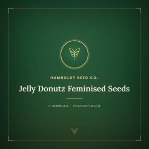 Jelly Donutz Feminised Seeds Jelly Donutz Feminised Seeds