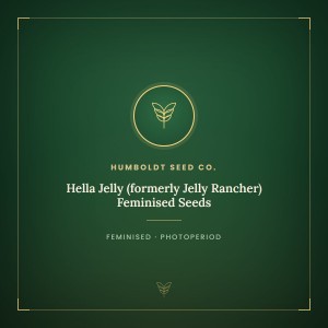 Hella Jelly (formerly Jelly Rancher) Feminised Seeds