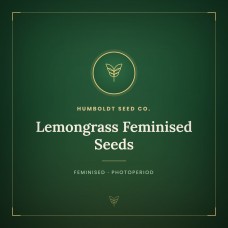 Lemongrass Feminised Seeds