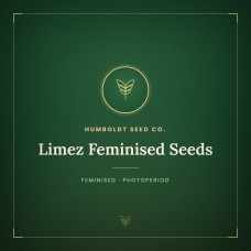 Limez Feminised Seeds