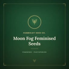 Moon Fog Feminised Seeds