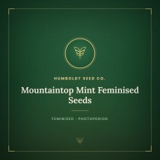 Mountaintop Mint Feminised Seeds