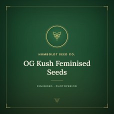 OG Kush Feminised Seeds