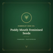 Poddy Mouth Feminised Seeds Poddy Mouth Feminised Seeds