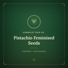 Pistachio Feminised Seeds Pistachio Feminised Seeds