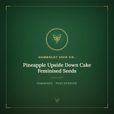 Pineapple Upside Down Cake Feminised Seeds