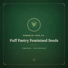 Puff Pastry Feminised Seeds Puff Pastry Feminised Seeds