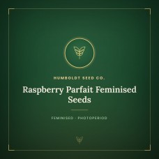 Raspberry Parfait Feminised Seeds Raspberry Parfait Feminised Seeds
