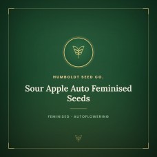 Sour Apple Auto Feminised Seeds Sour Apple Auto Feminised Seeds