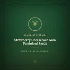 Strawberry Cheesecake Auto Feminised Seeds Strawberry Cheesecake Auto Feminised Seeds