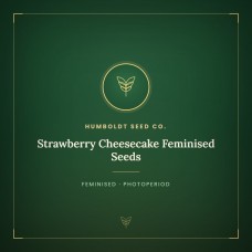 Strawberry Cheesecake Feminised Seeds Strawberry Cheesecake Feminised Seeds