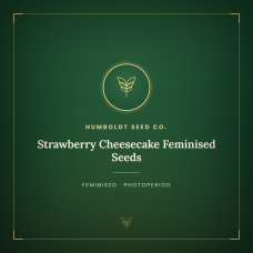 Strawberry Cheesecake Feminised Seeds Strawberry Cheesecake Feminised Seeds