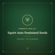 Squirt Auto Feminised Seeds Squirt Auto Feminised Seeds