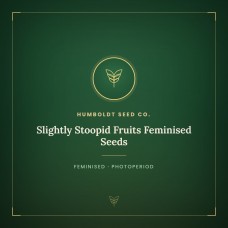 Slightly Stoopid Fruits Feminised Seeds Slightly Stoopid Fruits Feminised Seeds