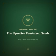 The Upsetter Feminised Seeds The Upsetter Feminised Seeds