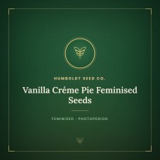 Vanilla Créme Pie Feminised Seeds Vanilla Créme Pie Feminised Seeds