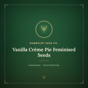 Vanilla Créme Pie Feminised Seeds Vanilla Créme Pie Feminised Seeds