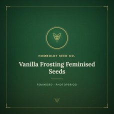 Vanilla Frosting Feminised Seeds Vanilla Frosting Feminised Seeds