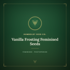 Vanilla Frosting Feminised Seeds Vanilla Frosting Feminised Seeds