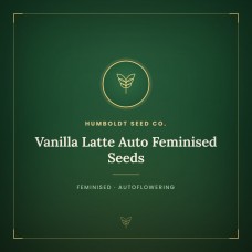 Vanilla Latte Auto Feminised Seeds Vanilla Latte Auto Feminised Seeds