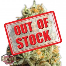 Fully Loaded Auto Feminised Seeds