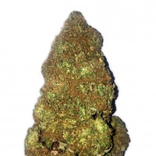 Jackpot Auto Feminised Seeds Jackpot Auto Feminised Seeds