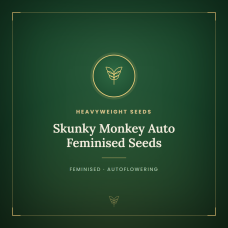 Skunky Monkey Auto Feminised Seeds Skunky Monkey Auto Feminised Seeds