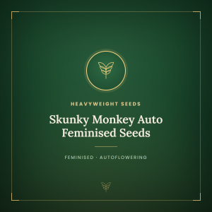 Skunky Monkey Auto Feminised Seeds Skunky Monkey Auto Feminised Seeds
