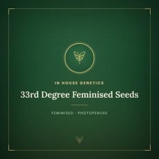 33rd Degree Feminised Seeds 33rd Degree Feminised Seeds