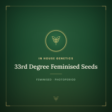 33rd Degree Feminised Seeds 33rd Degree Feminised Seeds