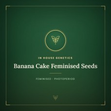 Banana Cake Feminised Seeds Banana Cake Feminised Seeds