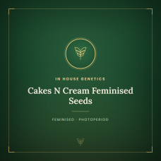 Cakes N Cream Feminised Seeds Cakes N Cream Feminised Seeds