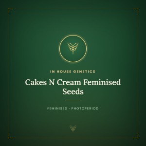 Cakes N Cream Feminised Seeds