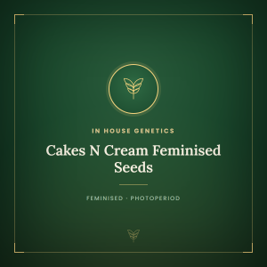 Cakes N Cream Feminised Seeds