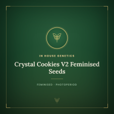 Crystal Cookies V2 Feminised Seeds Crystal Cookies V2 Feminised Seeds