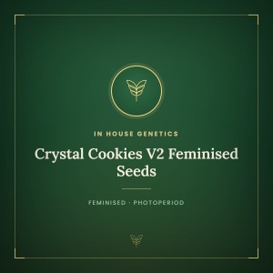 Crystal Cookies V2 Feminised Seeds Crystal Cookies V2 Feminised Seeds