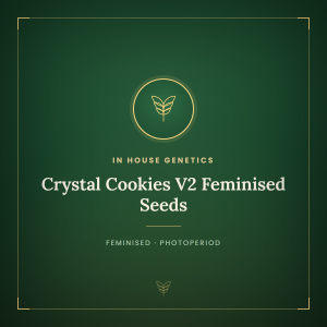 Crystal Cookies V2 Feminised Seeds Crystal Cookies V2 Feminised Seeds