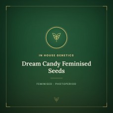 Dream Candy Feminised Seeds Dream Candy Feminised Seeds