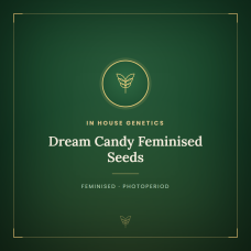 Dream Candy Feminised Seeds Dream Candy Feminised Seeds