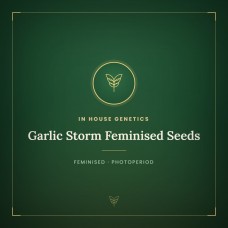 Garlic Storm Feminised Seeds Garlic Storm Feminised Seeds