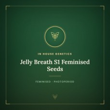 Jelly Breath S1 Feminised Seeds Jelly Breath S1 Feminised Seeds
