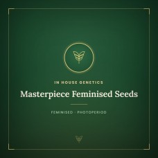 Masterpiece Feminised Seeds