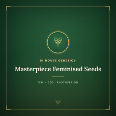 Masterpiece Feminised Seeds Masterpiece Feminised Seeds
