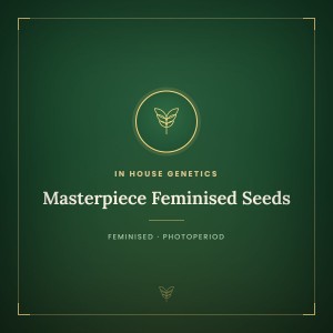 Masterpiece Feminised Seeds Masterpiece Feminised Seeds