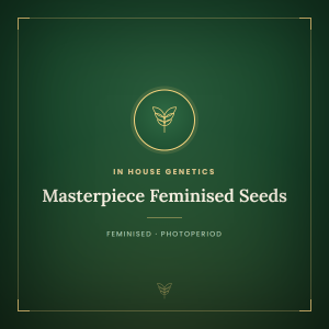 Masterpiece Feminised Seeds Masterpiece Feminised Seeds