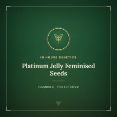 Platinum Jelly Feminised Seeds Platinum Jelly Feminised Seeds