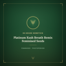 Platinum Kush Breath Remix Feminised Seeds Platinum Kush Breath Remix Feminised Seeds
