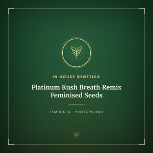 Platinum Kush Breath Remix Feminised Seeds