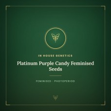 Platinum Purple Candy Feminised Seeds Platinum Purple Candy Feminised Seeds